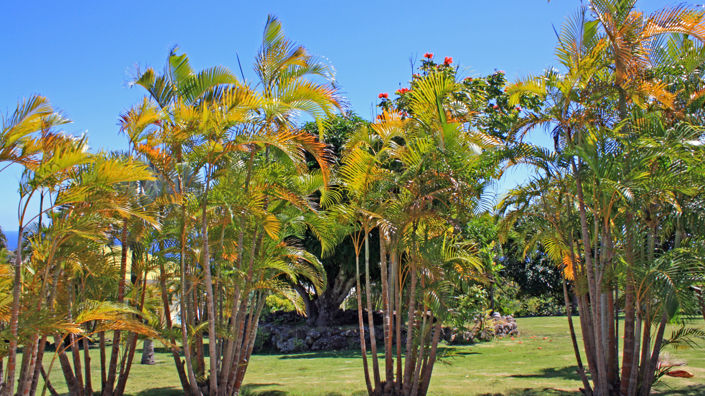 Image No.17-4 Bed Villa for sale