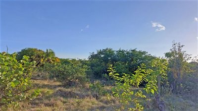 view20land203