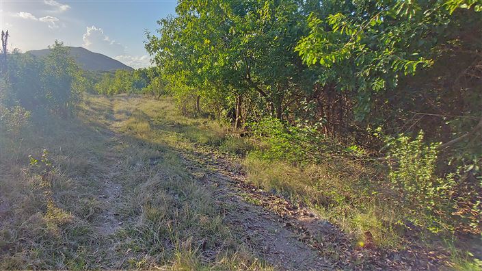 Image No.5-Land for sale