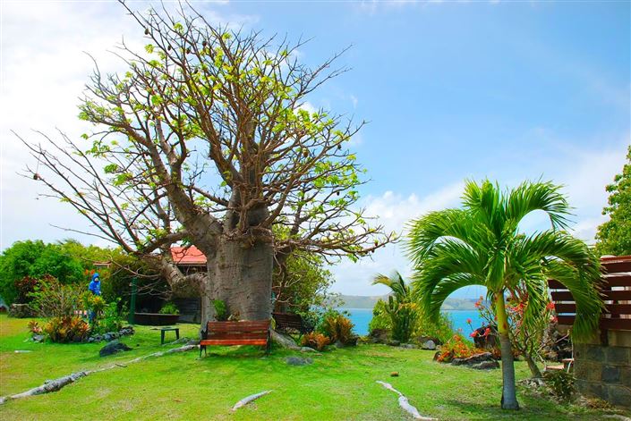 Image No.11-Commercial for sale