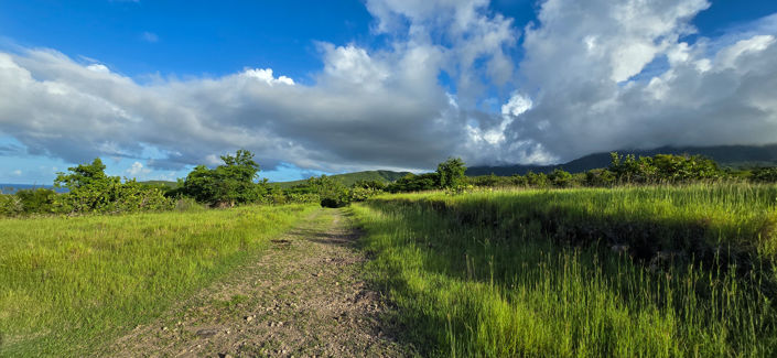 Image No.1-Land for sale