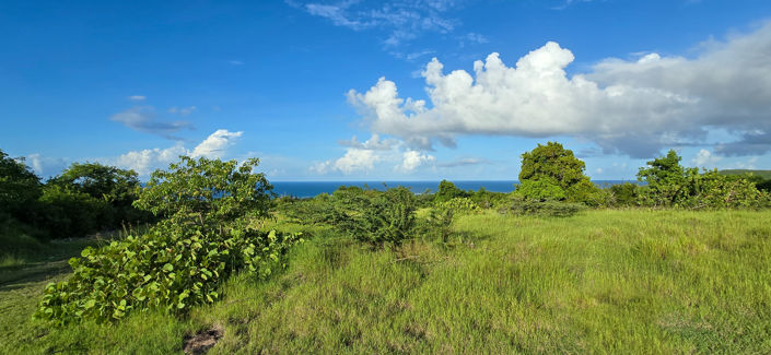 Image No.2-Land for sale