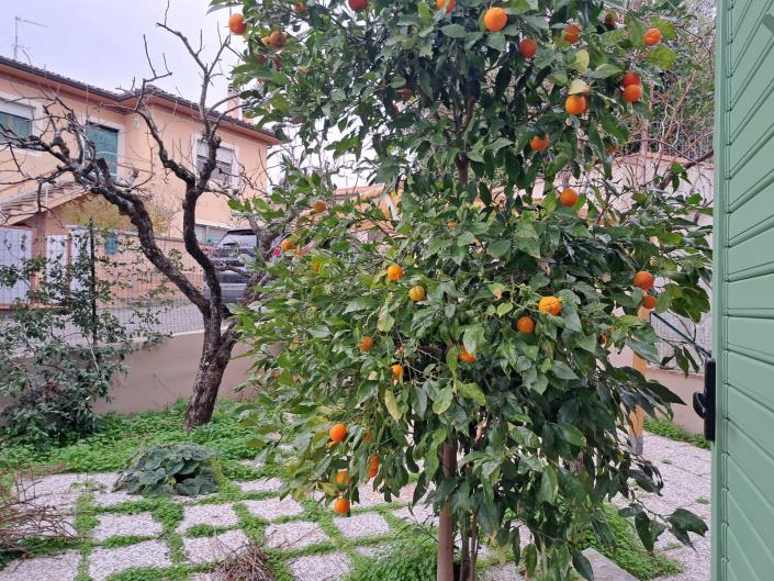 Image No.34-6 Bed House/Villa for sale