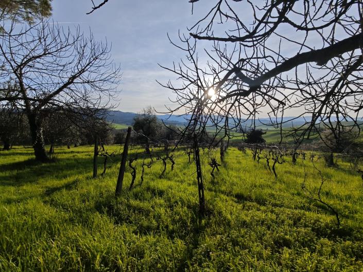 Image No.20-3 Bed Country House for sale