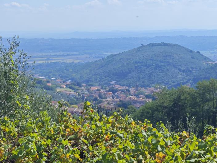 Image No.12-6 Bed Farmhouse for sale