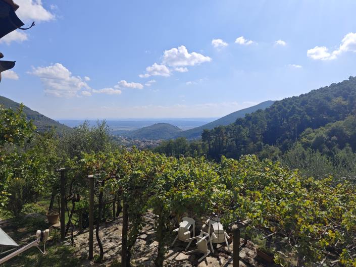 Image No.13-6 Bed Farmhouse for sale