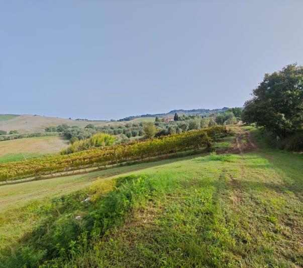 Image No.6-3 Bed Apartment for sale