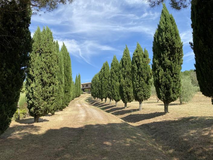 Image No.31-5 Bed Farmhouse for sale