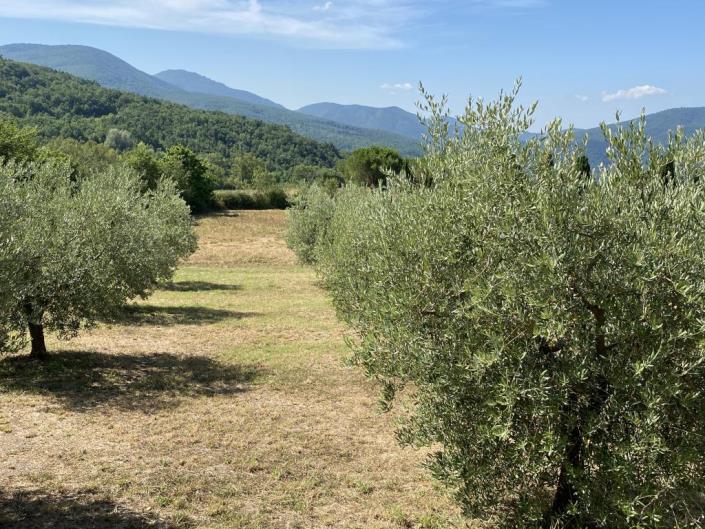 Image No.33-5 Bed Farmhouse for sale