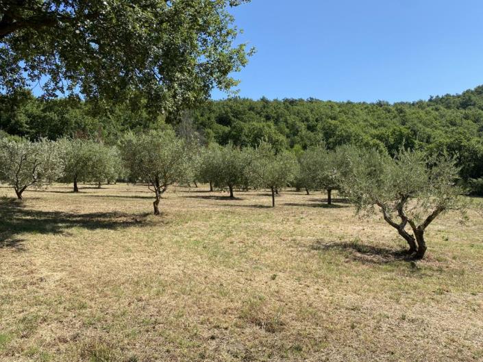 Image No.36-5 Bed Farmhouse for sale