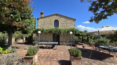 mini_20250915_115624