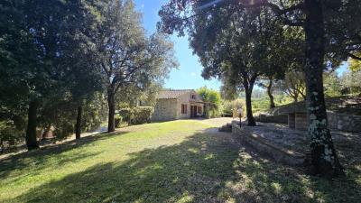 mini_20251007_123437