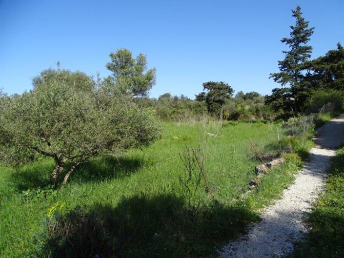 Image No.3-Plot for sale