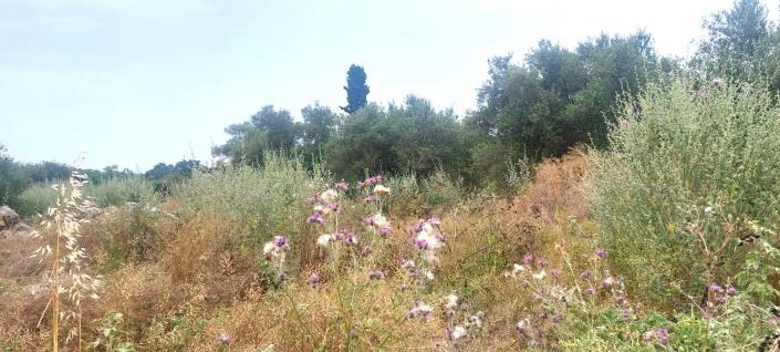 Image No.5-3 Bed House/Villa for sale