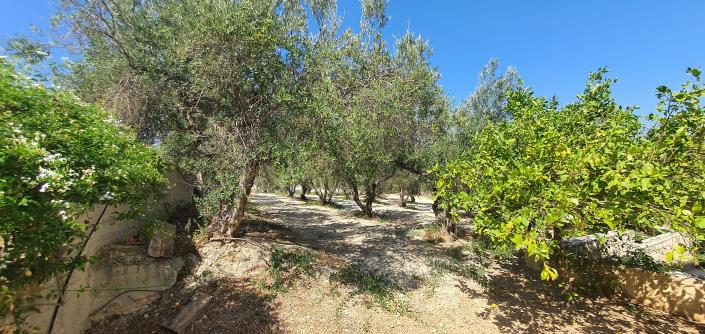 Image No.5-5 Bed Villa / Detached for sale