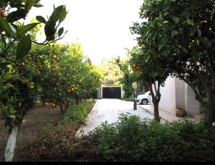 Image No.16-3 Bed Villa / Detached for sale