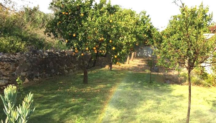 Image No.18-3 Bed Villa / Detached for sale