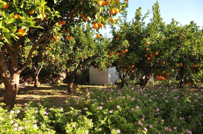 Image No.25-3 Bed Villa / Detached for sale