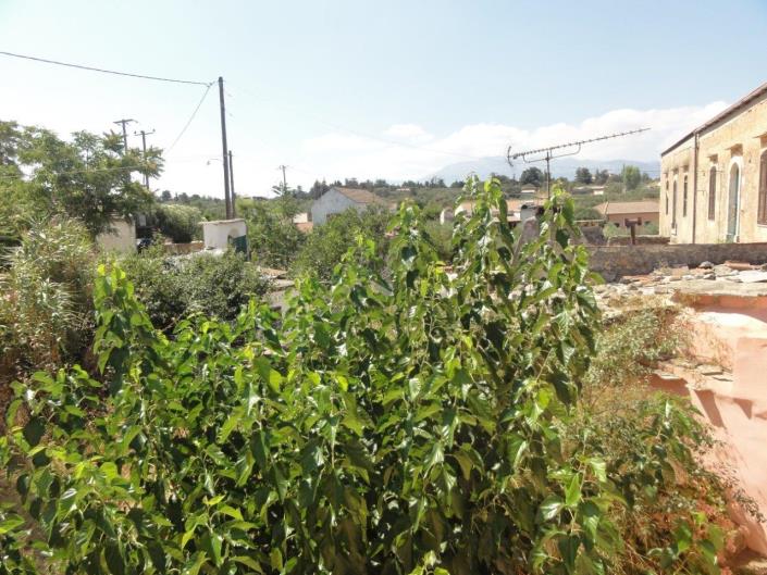 Image No.34-3 Bed House/Villa for sale