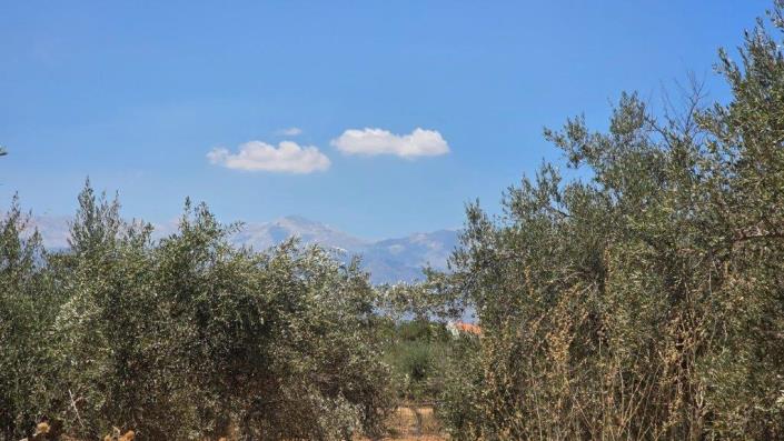 Image No.5-Plot for sale