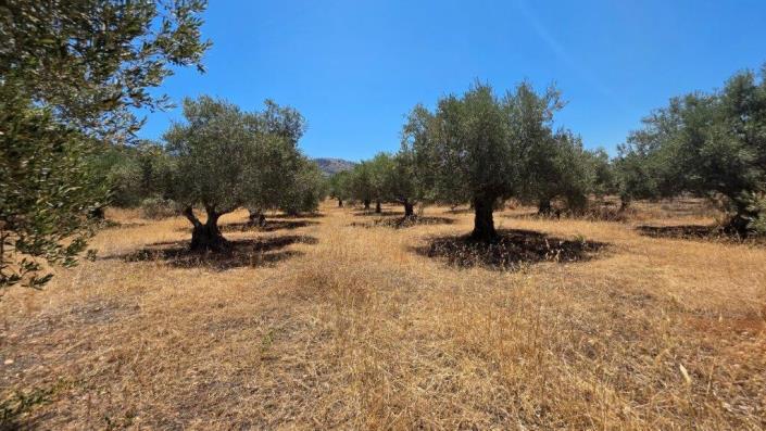 Image No.4-Plot for sale