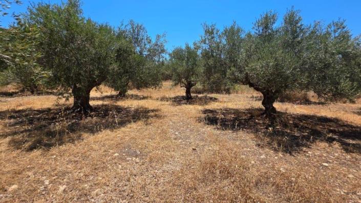 Image No.7-Plot for sale