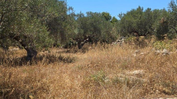 Image No.8-Plot for sale