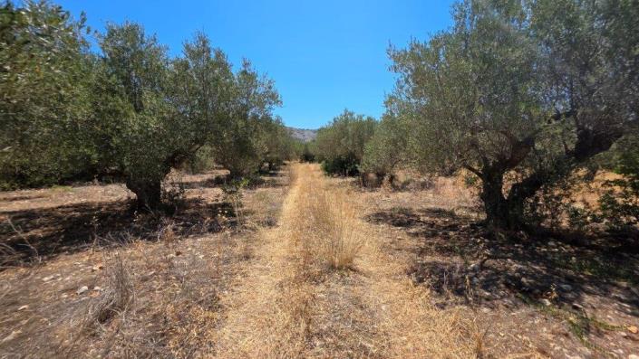 Image No.6-Plot for sale