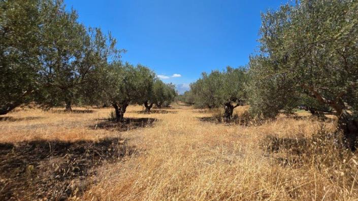 Image No.9-Plot for sale