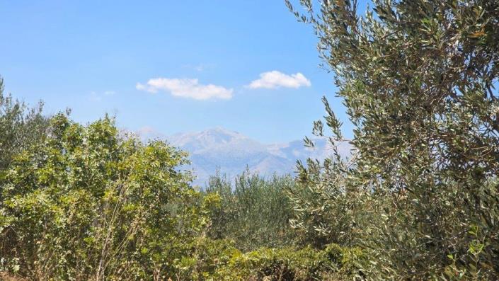 Image No.3-Plot for sale