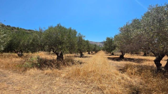 Image No.10-Plot for sale