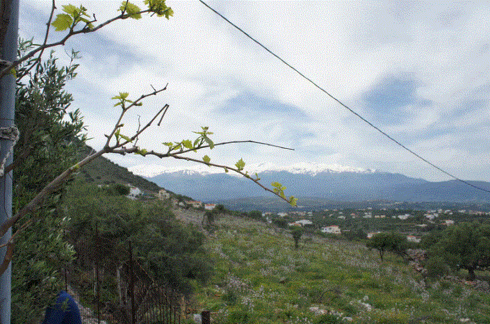 Image No.8-2 Bed House/Villa for sale