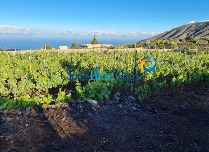 Image No.18-1 Bed Farmhouse for sale