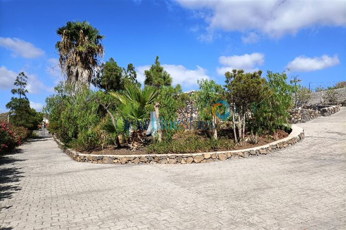 Image No.11-Finca de 4 chambres à vendre à Aldea Blanca