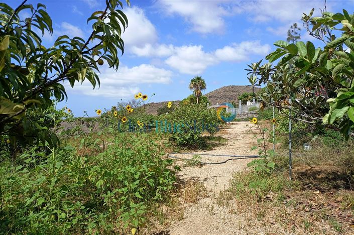Image No.13-Finca de 4 chambres à vendre à Aldea Blanca