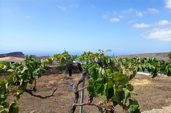 Image No.14-Finca de 4 chambres à vendre à Aldea Blanca