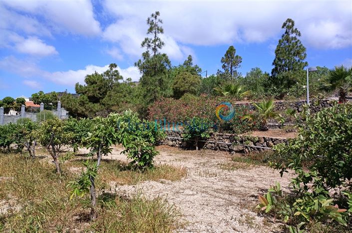Image No.15-Finca de 4 chambres à vendre à Aldea Blanca