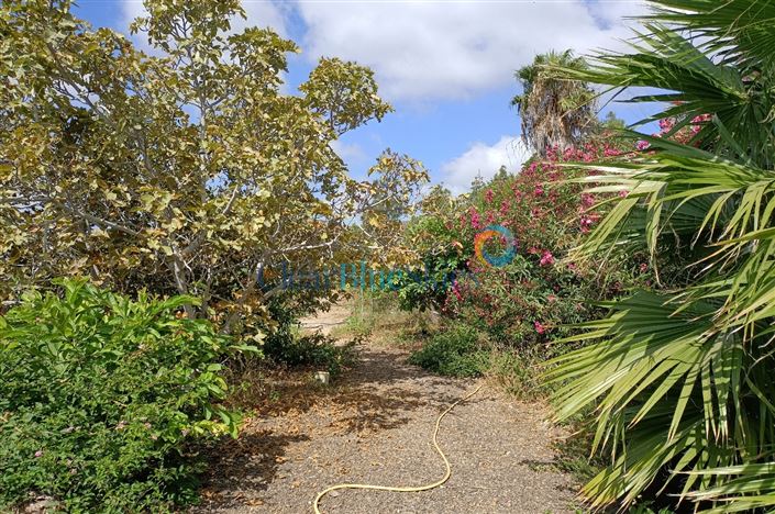 Image No.16-Finca de 4 chambres à vendre à Aldea Blanca