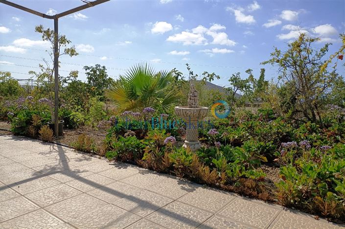 Image No.18-Finca de 4 chambres à vendre à Aldea Blanca