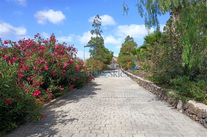 Image No.19-Finca de 4 chambres à vendre à Aldea Blanca