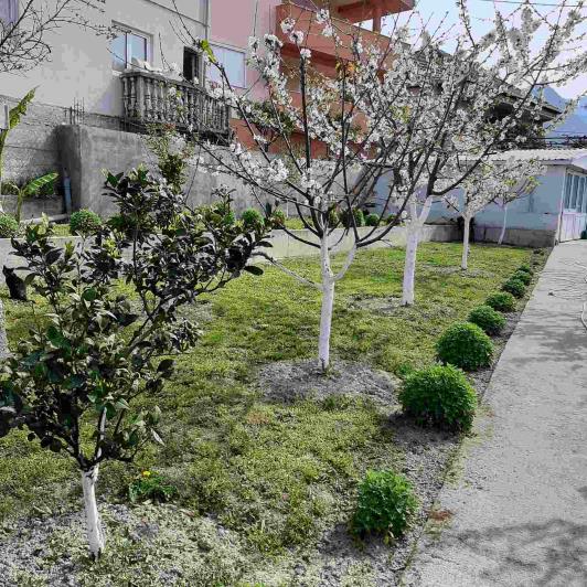 Image No.12-3 Bed House for sale