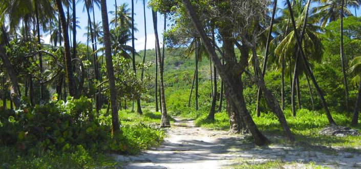 Image No.4-6 Bed Property for sale