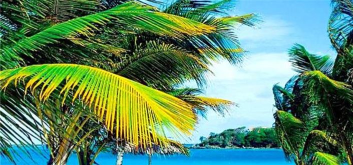 Image No.6-Property for sale