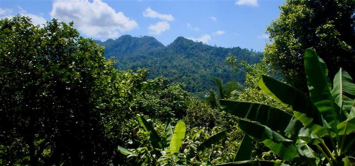 Image No.9-Property for sale