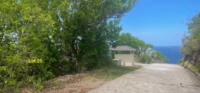 Friendship Heights Lot 25 Image 3