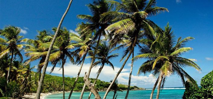 Image No.2-Property for sale