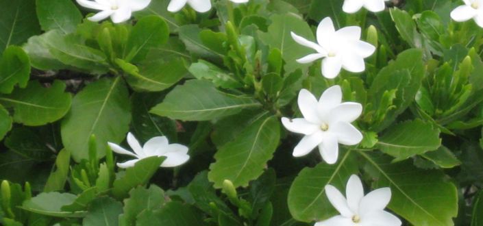 Image No.6-3 Bed Property for sale