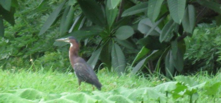 Image No.7-3 Bed Property for sale