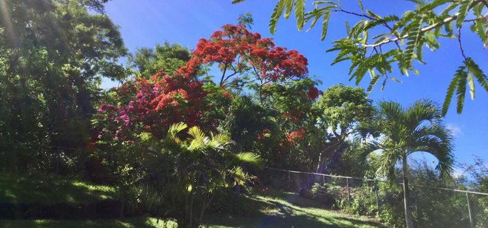 Image No.5-3 Bed Property for sale