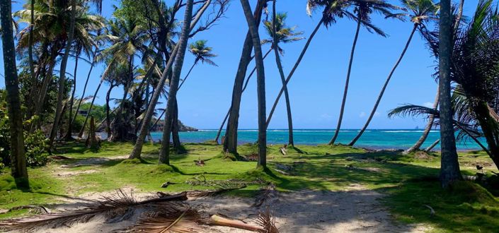 Image No.10-Property for sale